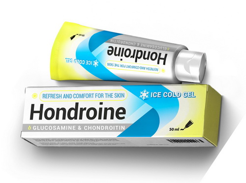 Hondroine за ставите